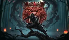 Black ninja